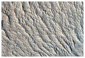 Crater on Edge of Gigas Sulci
