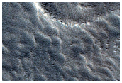 Flows along Mesa in Protonilus Mensae
