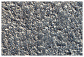 Ridged Surfaces Near Phlegra Montes
