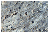 Ridges in Meridiani Planum
