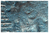 Rocky Ground and Scarp
