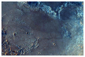 Candidate Landing Site for 2020 Mission in Northeast Syrtis Major Region
