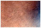 Bordering Craters Near Possible Gullies
