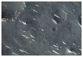 Ridges and Cones in Utopia Planitia