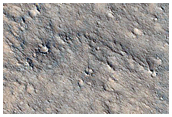 Northern Isidis Planitia
