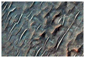 Pitted Material in Large Crater North of Hellas Planitia
