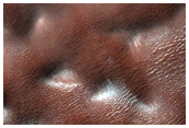 Carbon Dioxide Feature at Bottom of Trough