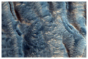 Bedforms in Moreux Crater
