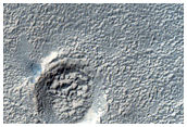 Branched Valleys North of Kepler Crater
