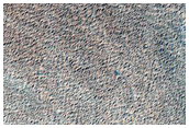 Syria Planum Dust-Raising Event Monitoring Site
