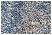 Candidate Red Dragon Landing Site in Southern Arcadia Planitia
