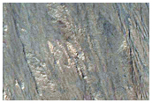 Gullies on Southern Wall of Ross Crater
