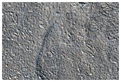 Knob and Flows in Adamas Labyrinthus

