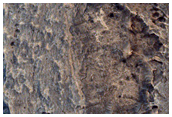 Ridges in Meridiani Planum
