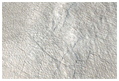 Lines of Pits Near Mound in Protonilus Mensae
