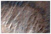 Gully in Southern Mid-Latitude Crater

