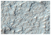 Crater with Light-Toned Bedrock in Margaritifer Terra
