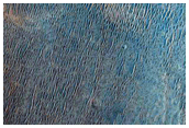Bedrock Exposed on Crater Floor
