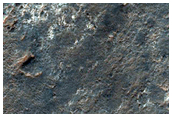 Dark-Toned Disks in Light-Toned Layer
