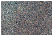 Boulder Field in Utopia Planitia
