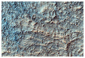 Possible Hydrated and Olivine-Bearing Deposits in Northwest Hellas Planitia
