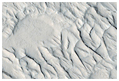 Polygonal Ridges Near Medusae Fossae Formation

