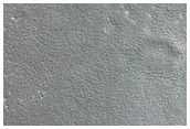 Pits Lined Up along Valley Wall in Protonilus Mensae
