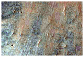 Possible Phyllosilicate-Rich Deposits in Valles Marineris
