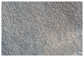 Contact between Diverse Terrains in Northern Hemisphere
