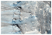 Wall and Rim of Crater in Acidalia Planitia
