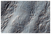 Flow in Crater in Noachis Terra
