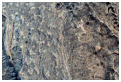 Ridges in Meridiani Planum
