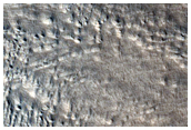 Glacier with Many Moraines in North Tempe Terra