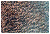 Acidalia Planitia Northern Plains Terrain
