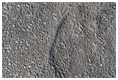Knob and Flows in Adamas Labyrinthus
