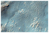 Debris Apron-Like Textures in Nereidum Montes
