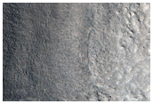 Flow in Protonilus Mensae Region
