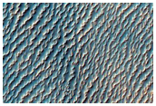 Dunes and Bedrock
