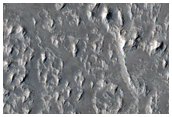 Lava Channels in Daedalia Planum
