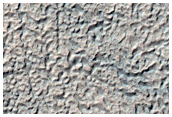 Gullies and Fissures
