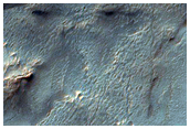 Debris Apron-Like Textures in Nereidum Montes
