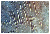 Fractured Crater Floor
