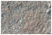 Very Bright THEMIS Night Infrared Terrain in Eastern Gorgonum Chaos Basin
