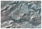 Landforms in Palikir Crater
