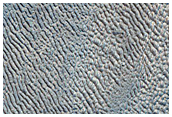 Gullies and Ablation
