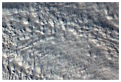 Glacier with Many Moraines in North Tempe Terra
