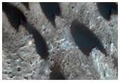 Northwest Meridiani Planum Intracrater Dunes
