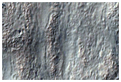 Sedimentary Fans in Crater
