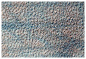 Dark Filamentary Streak Year-Round Monitor Site in Noachis Terra