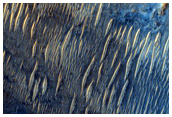North Syrtis Major and South Nili Fossae Landforms